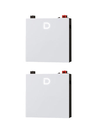Dyness DL5.0C Pro Battery (pack of 2) 10.24kWh